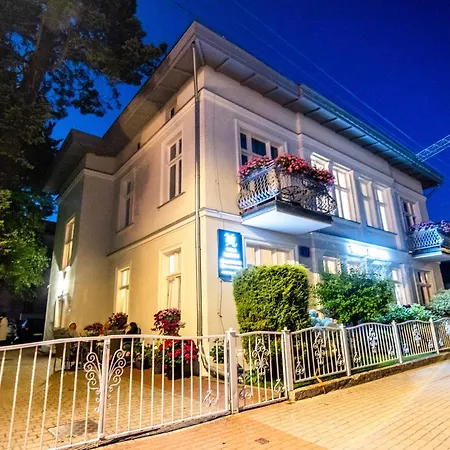 Meduza מידזיזדרויה